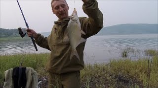 Рыбалка на Красноярском море возле села Даурское, июль 2019. (Крупный лещ на фидер).