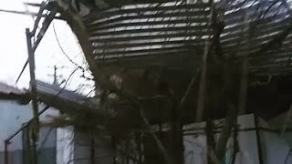 804 Россия. Ураган. Краснодарский край, город Новороссийск. 8 февраля 2017.