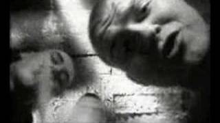 Fenomen - Szansa