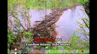 puķīti pa dambi (karaoke)