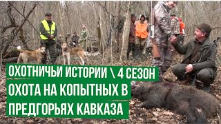 Охотничьи истории. Сезон 4. Охота на копытных в предгорьях Кавказа