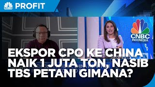 Jika Ekspor CPO Ke China Tambah 1 Juta Ton, TBS Petani Ikut Naik?