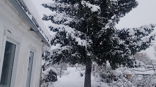 Зимой В Деревне