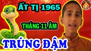 Tử Vi Tháng 11 ÂL Ất Tị 1965 Số Mệnh Phú Quý Tiền Vàng Liên Tiếp Kéo Về Cực Giàu