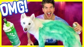 SPRAY PAINTING MY DOG!