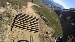 DH bleue vaches Alpe d'Huez