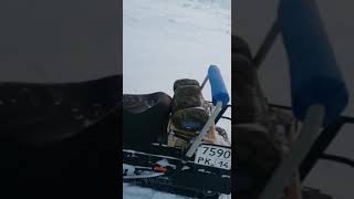 Снегоход Stels Viking минус на улице