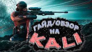 Rainbow Six Siege - Kali (Гайд/Обзор)