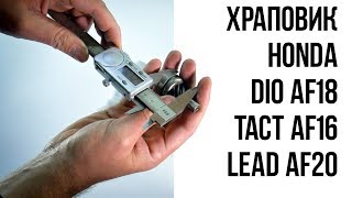 Храповик привода кикстартера Dio AF18, Tact AF16, Lead AF20 / Запчасти на скутер - Подробные размеры