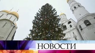 Главную новогоднюю елку России нарядили на Соборной площади Кремля.