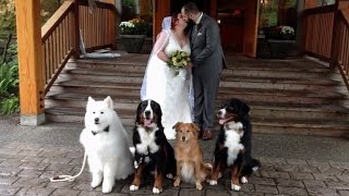 Dog Obsessed Bride and Groom Share First Dance with Four Pups