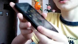 расматриваем телефон ZTE LEO Q1