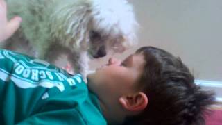 I can't see when the dog's in my face licking me