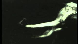 "Where Are You ? " - COIL (video)