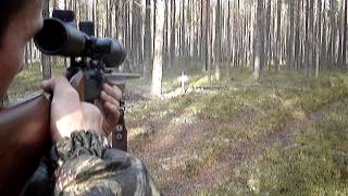 пристрелка Anschutz 525 22lr