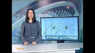 В Сочинском орнитологическом парке началось кольцевание птиц
