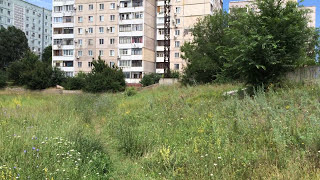 Заброшенная стройка стадиона на Бабурке