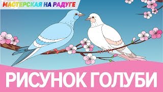 Как нарисовать голубей