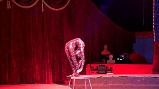 видео Сытова Оксана-Номер ''Змея''(Каучук/Contortion)