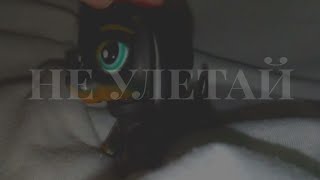 LPS: mv/music video - не улетай/ звонки, слёзы, шипы, розы¦ F L A F E L [yaoi]