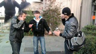 wolniki belgie i francy
