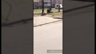 Ментовский беспредел! Полиция Винницы заломала семейную пару за распитие пива