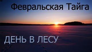 Зимний поход, февральская тайга vlog.