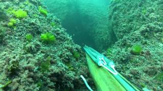 Подводная охота в Черном море, Крым