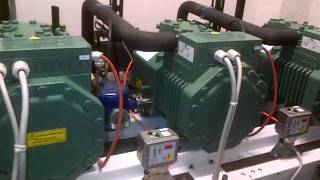 VLT+BITZER