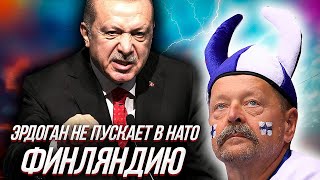 ДВОЙНОЙ УДАР. Россия отрубила финнам свет, а Эрдоган не пускает Финляндию в НАТО
