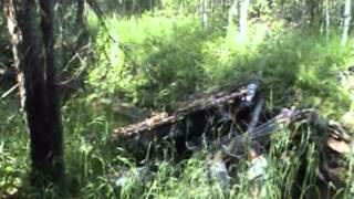 Rafting along Koin (Коин) river (2010) Part 2 "Over..." ))))