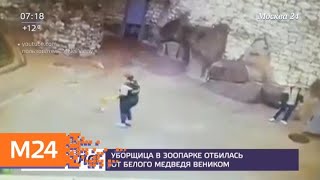 Веник помог уборщице зоопарка спастись от белого медведя - Москва 24