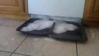 Outrageously, Uniquely ours - Mom took my advil & dishwasher explodes