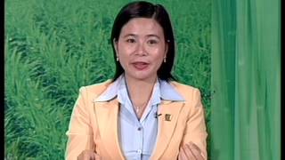 THKG-SỨC MẠNH SINH HỌC-KỲ 13: QUẢN LÝ BỆNH LEM LÉP HẠT TRÊN LÚA (P2) 15/8/2013
