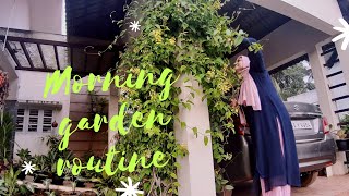 Morning garden routine | majicasa by Sajitha