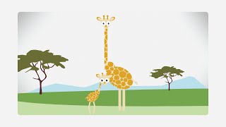 ZOOMIX, Tuiga, the Giraffe
