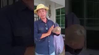 Cara buat perangkap kelulut