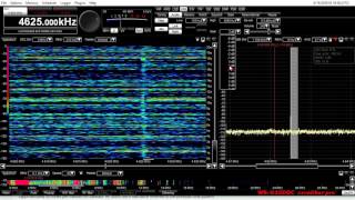 4625 KHZ USB Russian Buzzer into Tampa Florida