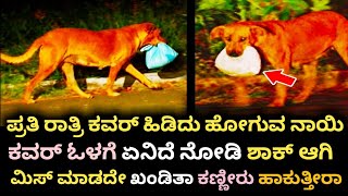 ಪ್ರತಿ ರಾತ್ರಿ ಕವರ್ ಹಿಡಿದು ಹೋಗುವ ನಾಯಿ ,ಕವರ್ ಓಳಗೆ ಏನಿದೆ ನೋಡಿ ಶಾಕ್ ಆಗಿ #dogrealstory