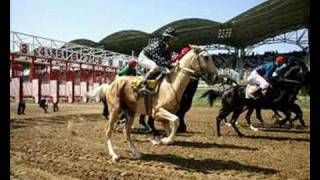 Ахалтекинцы гордость туркмен !!!! Ahalteke Horses