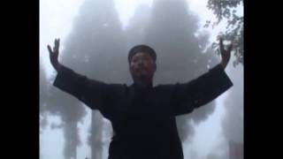 Wudang Chun Yang Yang Sheng Gong 武当纯阳养生功 - Longevity