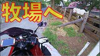 【モトブログ】牧場にぼっち散歩:-)