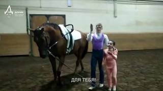 #поговорисТошей Александр Стикин и Вероника Киреева