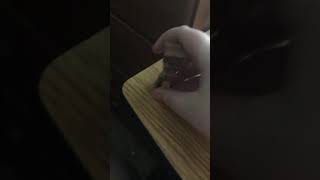 steve has to take a fucking piss