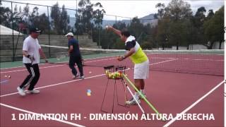 TENNIS -ADULT BEGGINERS VIDEO LESSON 1 EVOLUTION WORK SYSTEM
