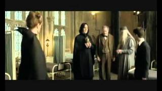 Ron and Hermione Hospital Scene