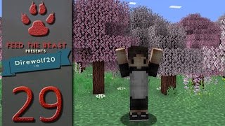 FTB Direwolf20 1.10 Ep29 - Fully Automated Extreme Reactor