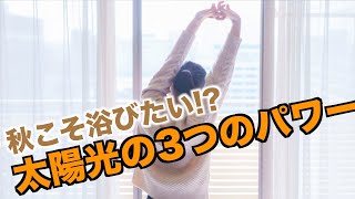 秋こそ浴びたい!?太陽光の3つのパワー
