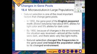 Honors Biology: c16 Pop Gen