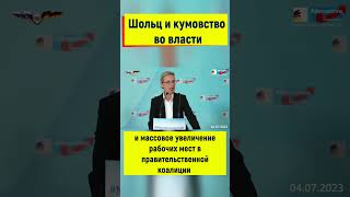 Алис Вайдель: Шольц выгоняй зелёных из правительства!